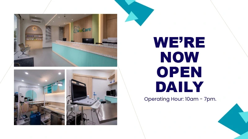 LovinCare Veterinary Medical Centre | Activities - LovinCare Veterinary Medical Centre Soft Opening