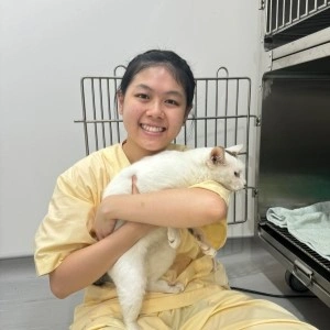 LovinCare Veterinary Medical Centre | Teams - Tan Yi Jing