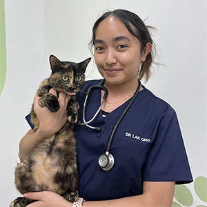 LovinCare Veterinary Medical Centre | Teams - Dr Lak Ong'A Udom
