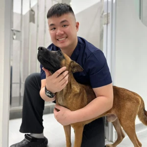 LovinCare Veterinary Medical Centre | Teams